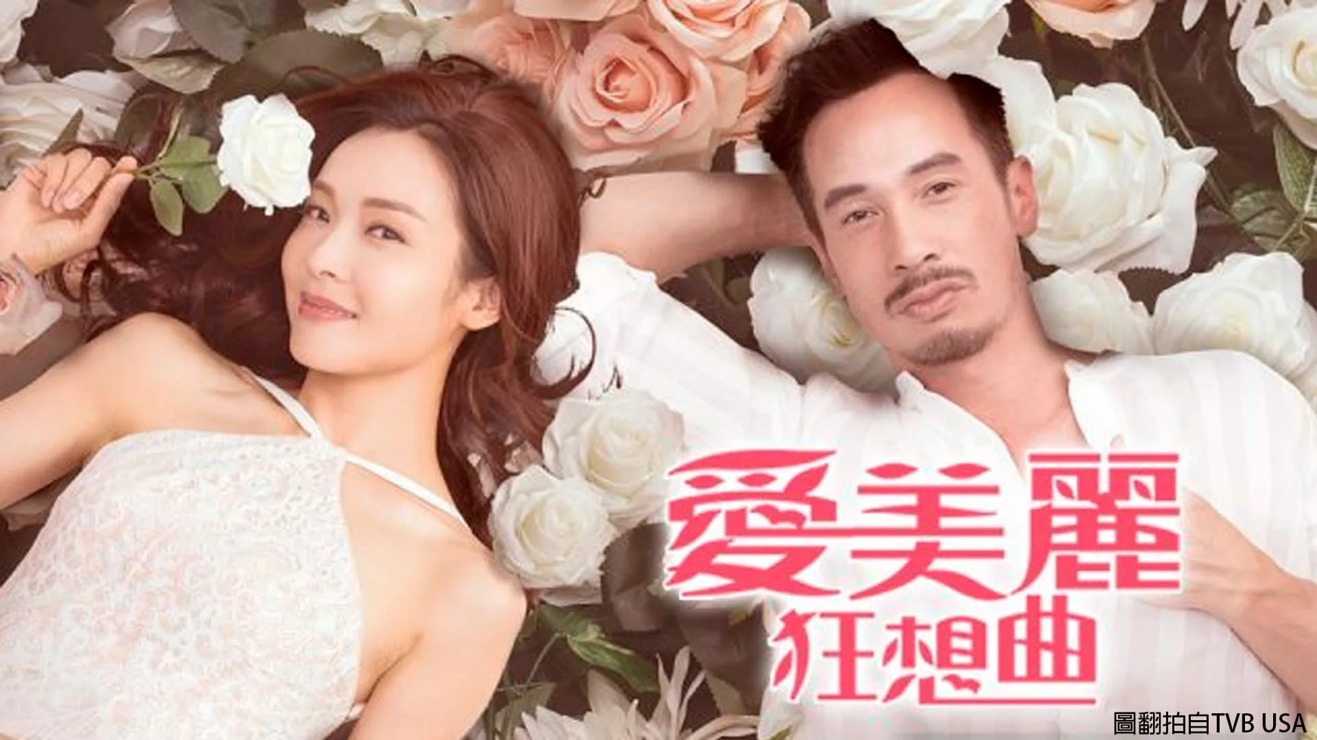 2021港劇《愛美麗狂想曲 Beauty And The Boss》由陳豪、李佳芯、蕭正楠、陳瀅、曹永廉、譚凱琪、楊詩敏等領銜主演 故事大綱 分集劇情 線上看
